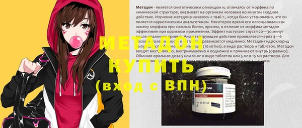 прущие грибы Рославль