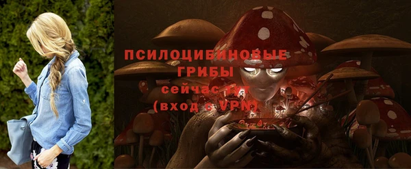 крисы Магас