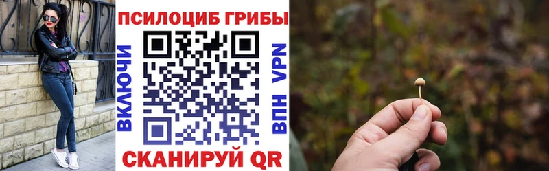 kraken Бугуруслан Псилоцибиновые грибы Psilocybine cubensis